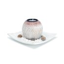 Decorative bowl with candle holder, 15 x 15 x 11 cm