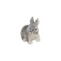 Petits lapins, lapins en set de 2