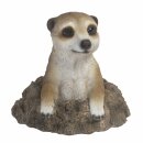 Funny meerkat made of polyresin, Dimensions: L 13,3 x W...