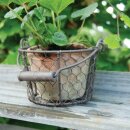 Pot in wire basket with handle