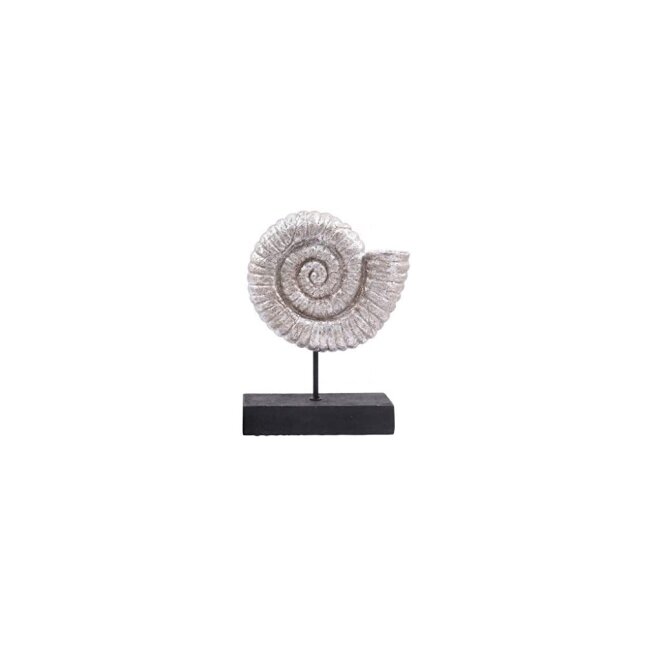 Figur Skulptur Muschel Ammonit auf Ständer 38 x 29 cm
