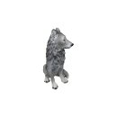 Wolf, puppy, about 50 cm