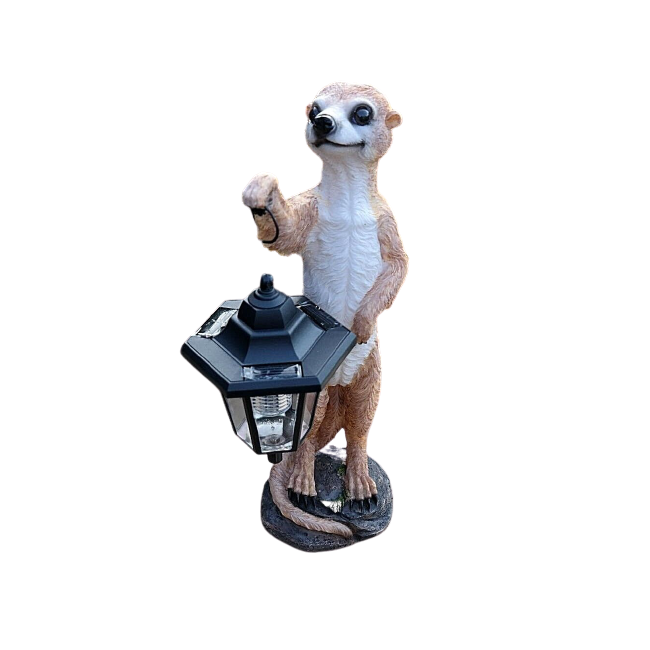 Suricate avec lanterne