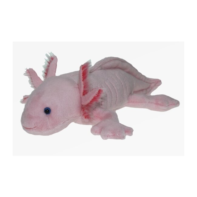 Plush axolotl 29 cm