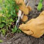 Roestvrijstalen fruit- en bloemenscharen