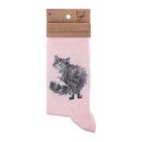 Socken Katze