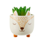 Mini cache-pot Petit renard