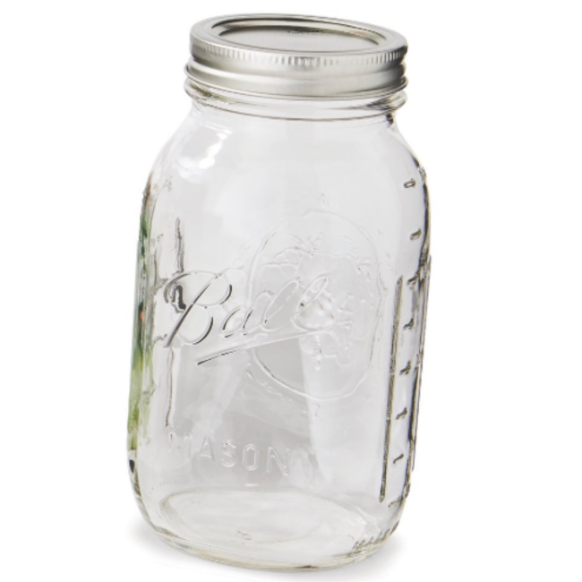 Ball Mason Jar Einmachglas 240 ml mit Deckel, Regular Mouth zum Einkochen und Aufbewahren