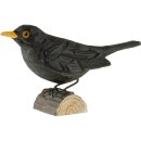 DecoBird - Amsel (Turdus merula)