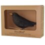 DecoBird - Amsel (Turdus merula)